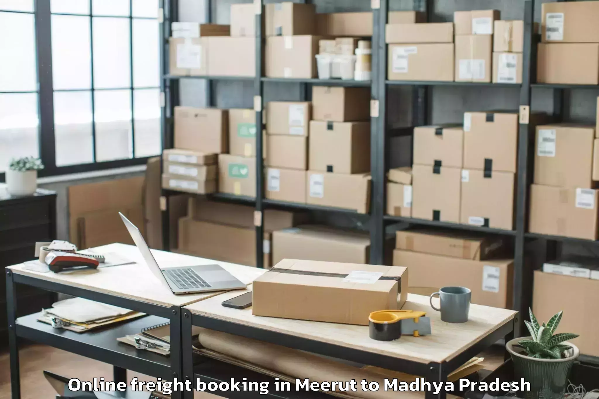 Top Meerut to Sage University Indore Online Freight Booking Available